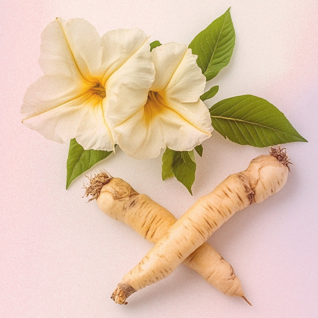 Plantes aphrodisiaques damiane maca